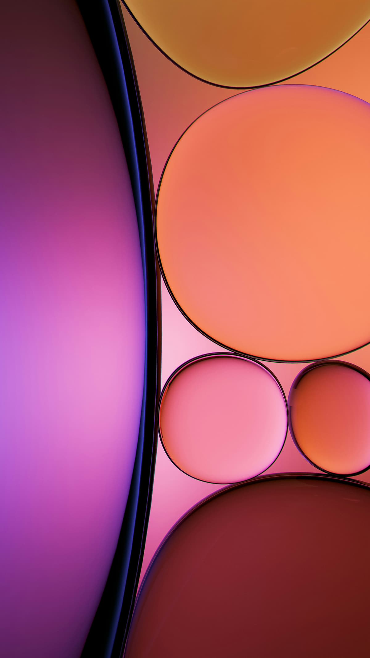 Lifestyle Panel - Core health markers and biomarker testing