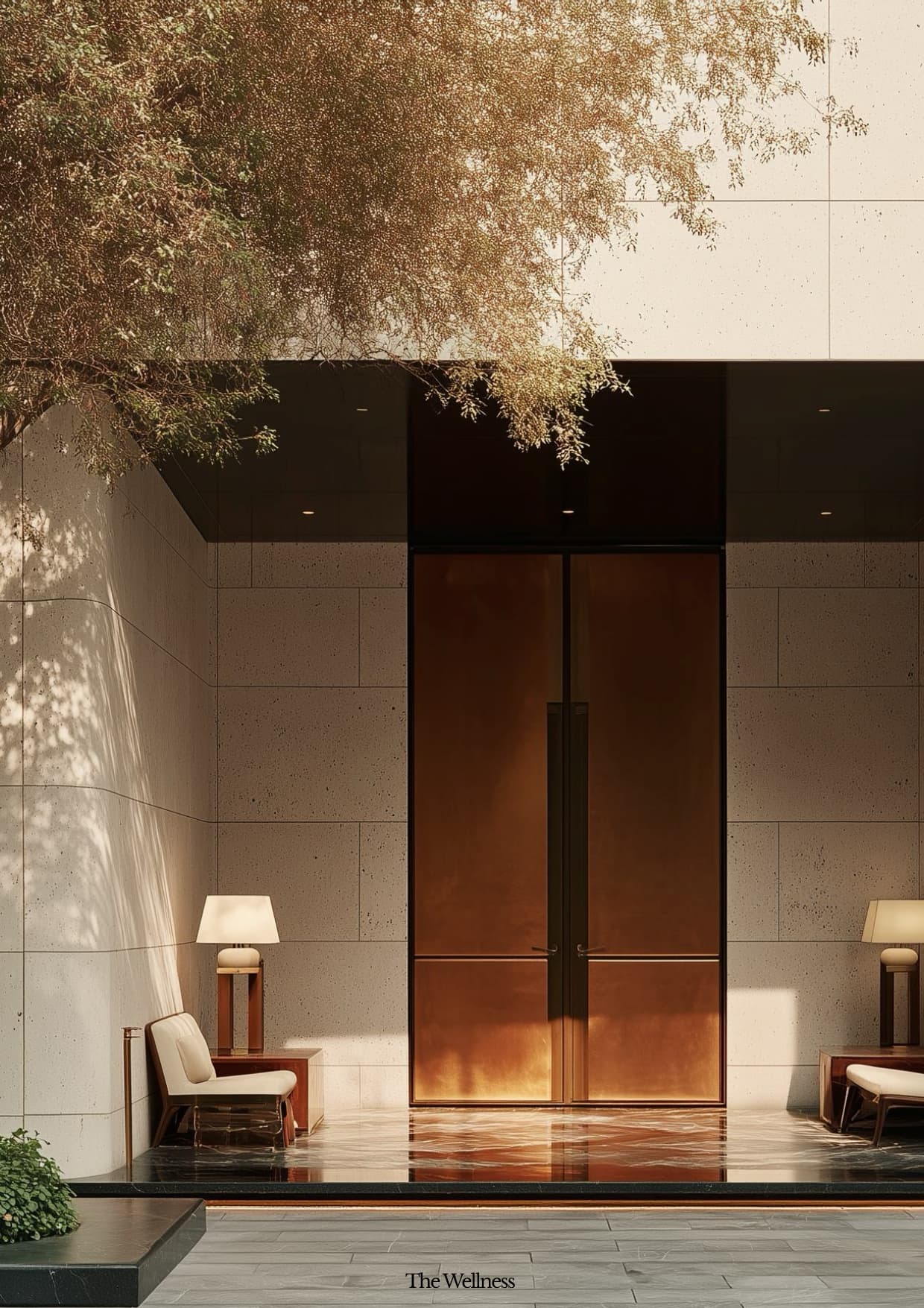 Hair Growth Guide - Page 2