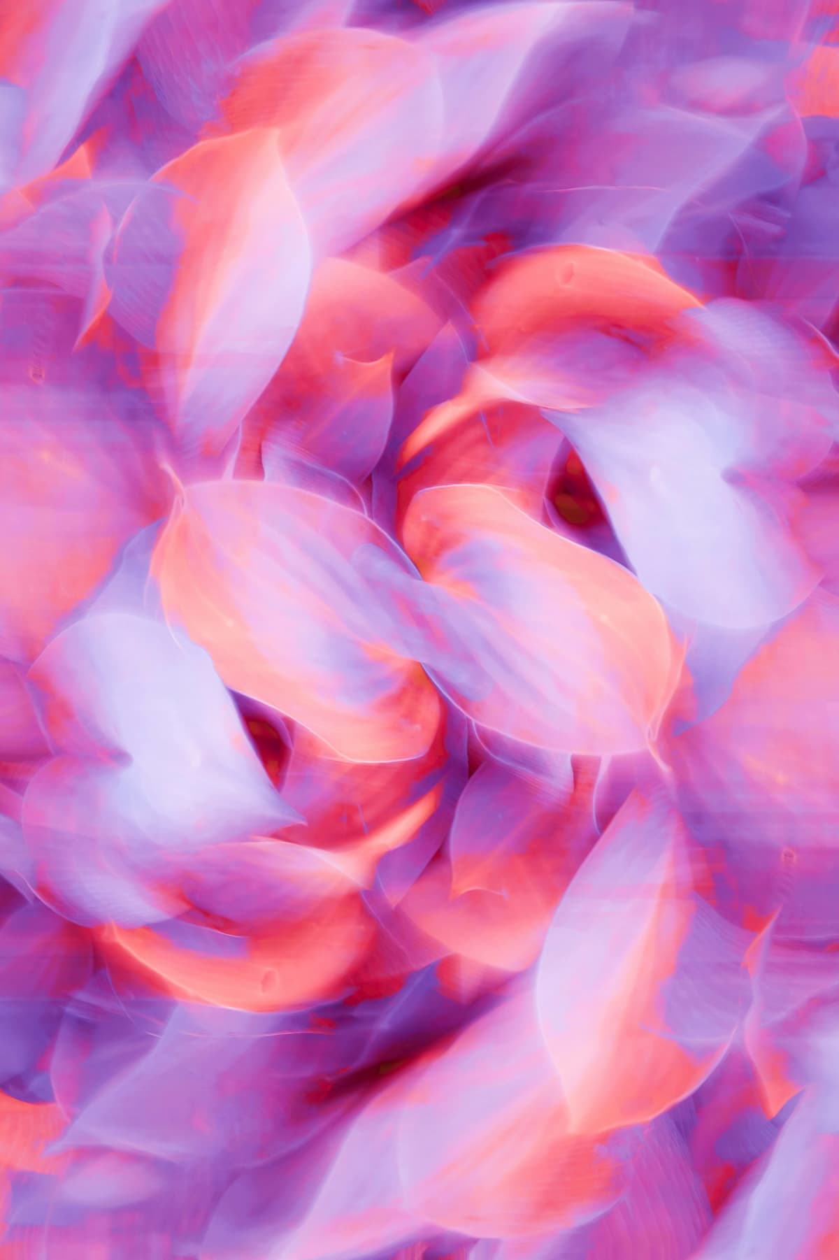 Mammography screening