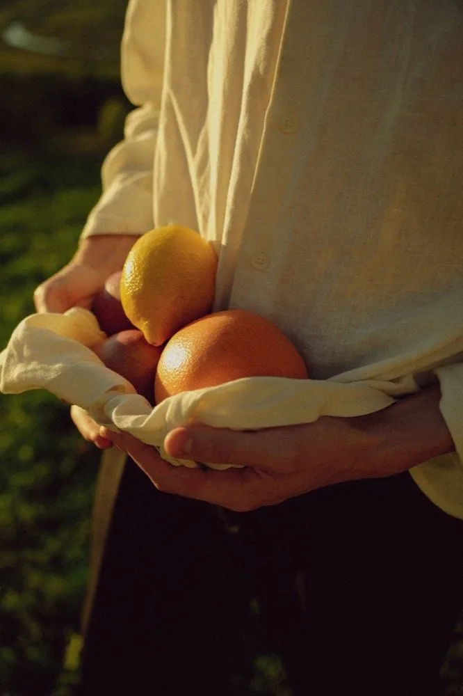 Hands holding fresh citrus fruit in golden light